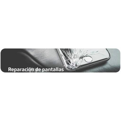 Reparacin de Pantallas