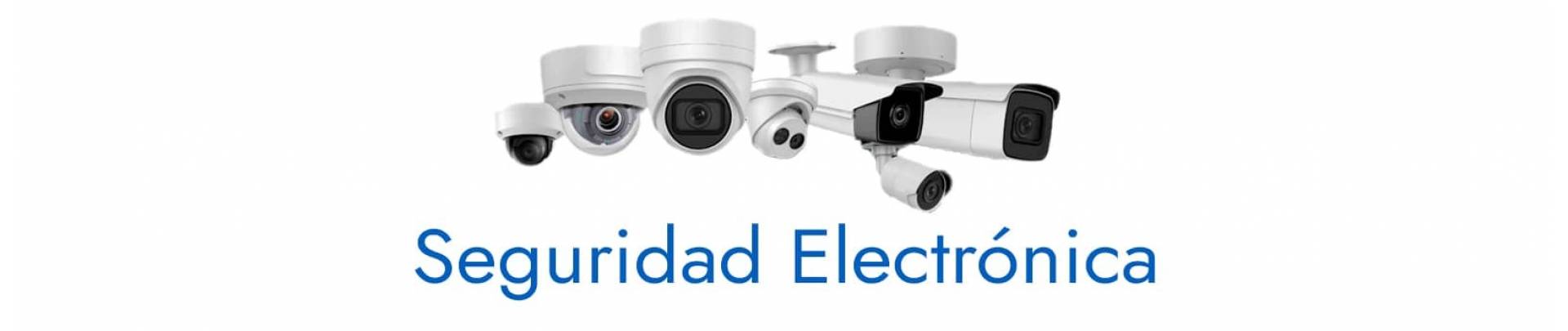 Seguridad Electrnica